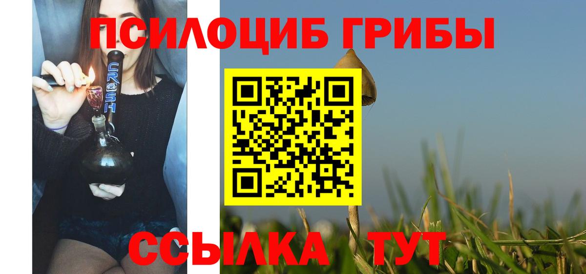 Псилоцибиновые грибы GOLDEN TEACHER  Галлюциногенные грибы Psilocybe  Луховицы  Вход с VPN 